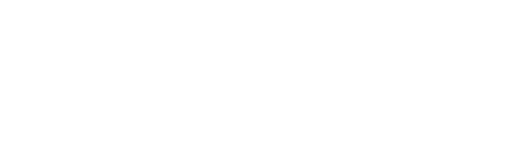 Directive 8020 logo